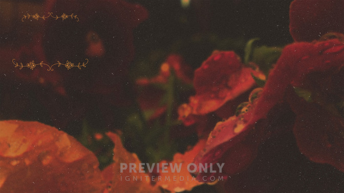 Abundant_Life_16x9-CONTENT-3#preset=tg_alt3.jpg