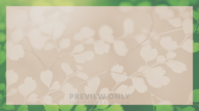 Bright_Foliage-Welcome_To_Church_WIDE-BACKGROUND#preset=tg_bg.jpg