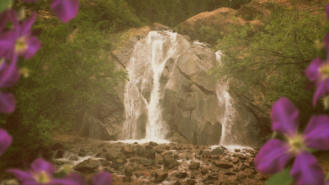 rocky waterfall - flowers