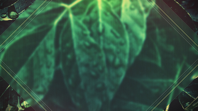 Spring_Dew-Welcome_WIDE-ALT-2#preset=tg_alt2.jpg