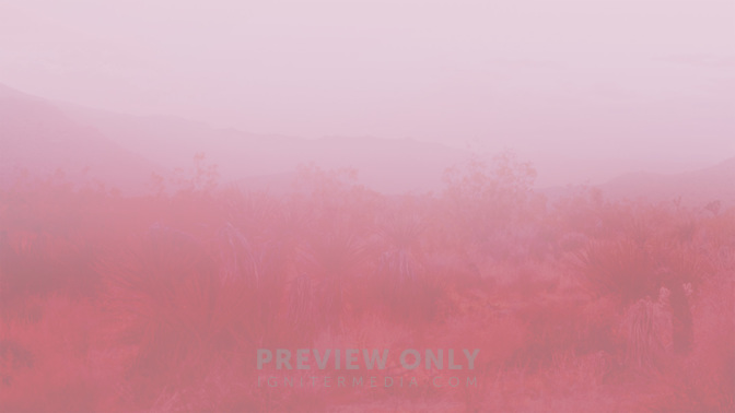 Womens_Bible_Study-WIDE#preset=tg_alt2.jpg