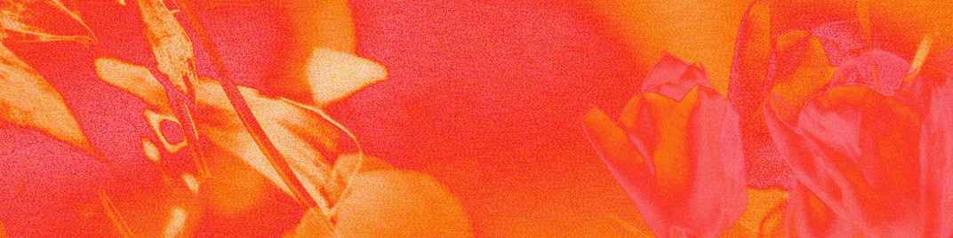hyper bloom - 1