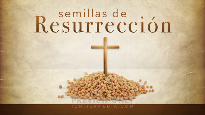 Semillas_de_Resurreccin_16x9-TITLE-2#preset=tg_title2.jpg