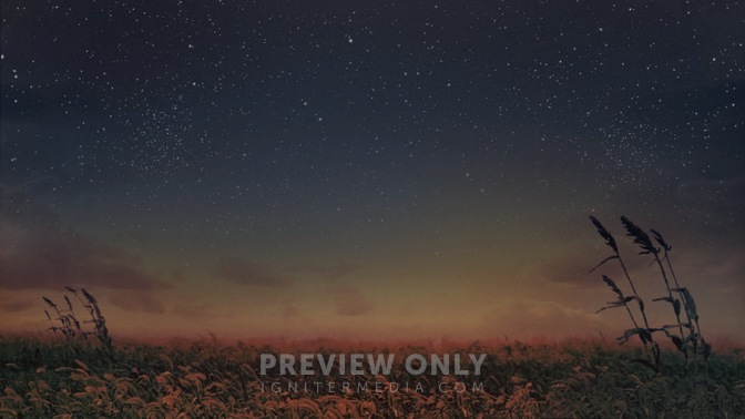 Starry_Night_Wheat_16x9.jpg