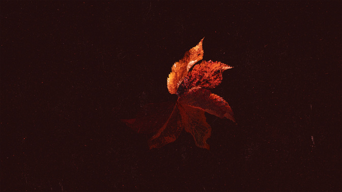 FallBackcircle-MASTER-WIDE#preset=tg_title3.jpg