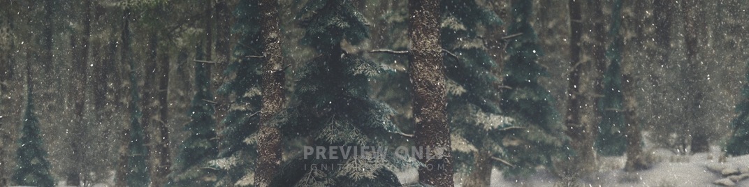Winter_Wonderland_7_UW_SD.jpg