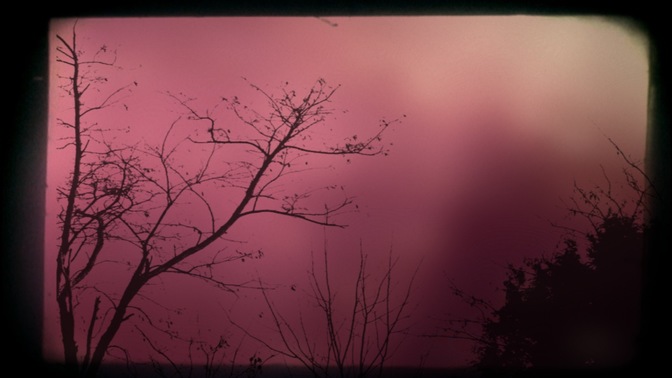 Branch_4_16x9.jpg