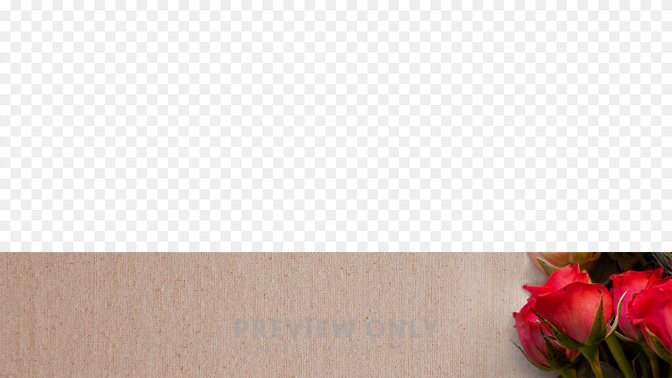 Thank-You-Moms-Spanish-WIDE#preset=tg_transparent_png_preview.jpg
