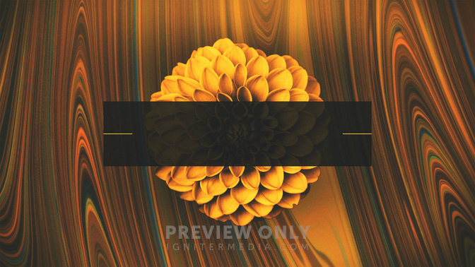 Spring_Mix-Upcoming_WIDE-TITLE-3#preset=tg_title3.jpg