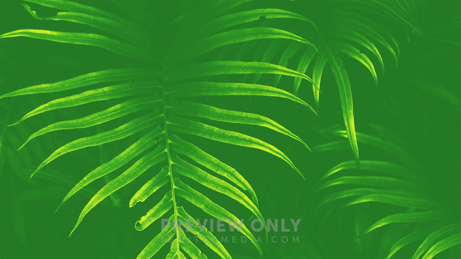 Palm_Sunday_WIDE-BACKGROUND#preset=tg_bg.jpg