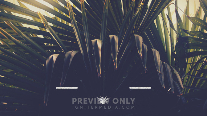 Palm_Sunday_16x9-TITLE-3#preset=tg_title3.jpg