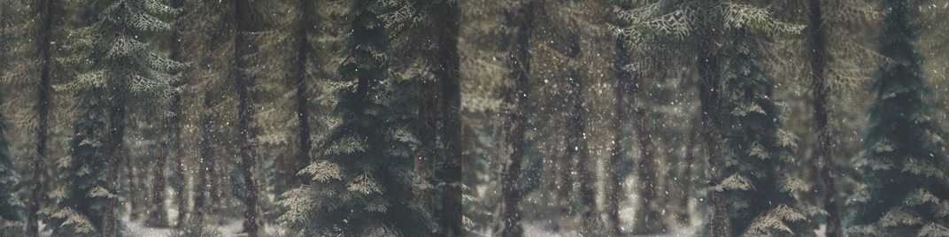 Winter_Wonderland_6_UW_SD.jpg