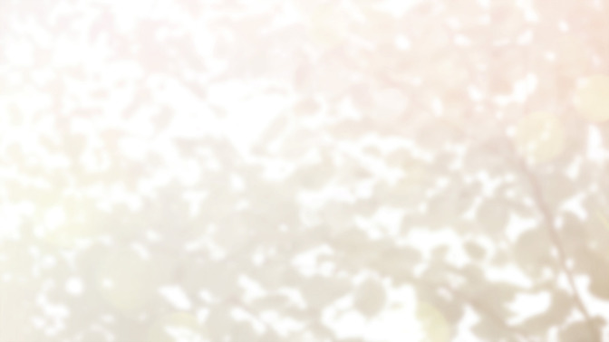 Seeing_the_Word_of_Life_16x9-BACKGROUND#preset=tg_bg.jpg