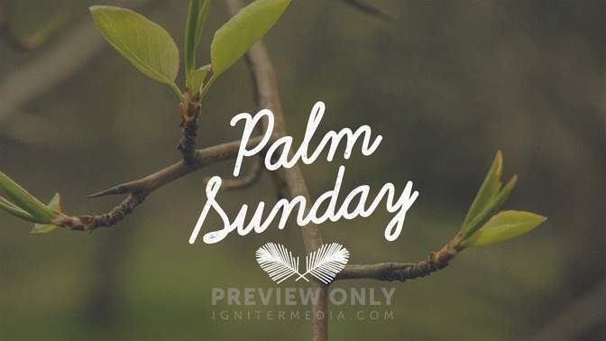 Blossoms_-_Palm_Sunday_16x9-TITLE-2#preset=tg_title2.jpg