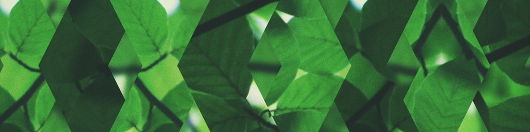 Spring_Shift_Green_Full_UW_SD.jpg