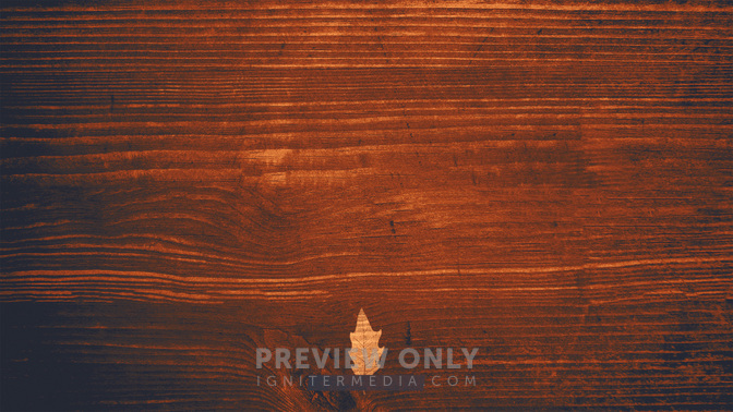 Wood_Leaves-Goodbye_WIDE-CONTENT-3#preset=tg_alt3.jpg