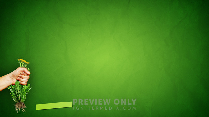 Pulling_Weeds_16x9-CONTENT-3#preset=tg_alt3.jpg