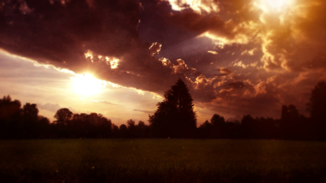 WL_Golden_Forest_720p_Preview.jpg