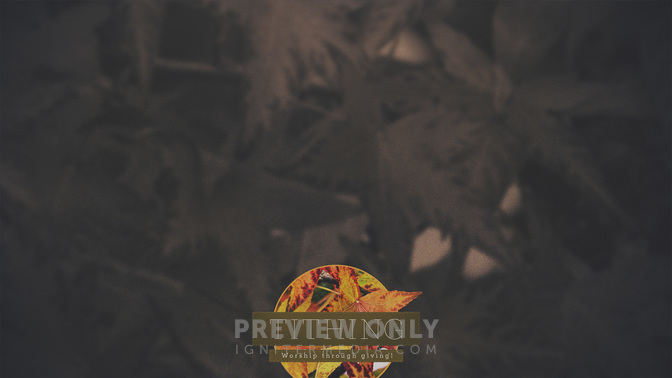 Autumn_Colors-Tithing_WIDE-CONTENT-1#preset=tg_alt1.jpg