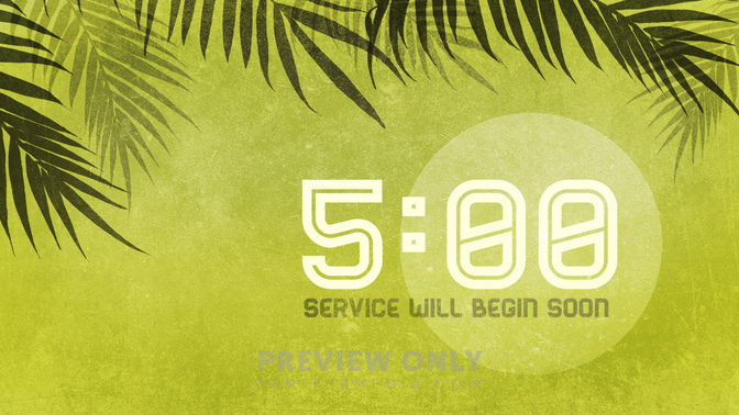 CD_Palm Branches_720p_Preview.jpg