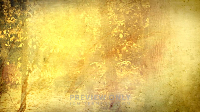 Fall Woods.jpg