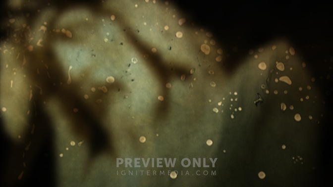 Face_Texture_2_16x9.jpg