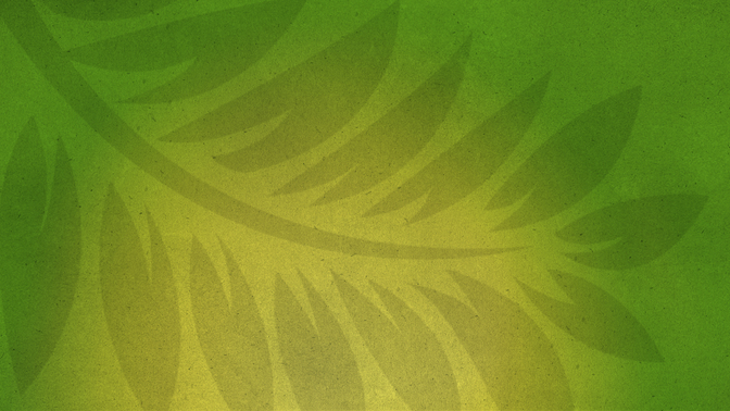 holy week colors - palm