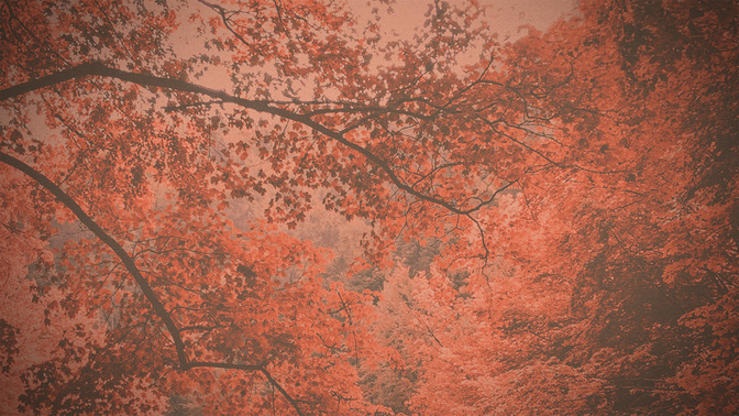 Fall_Retreat_WIDE-BACKGROUND#preset=tg_bg.jpg