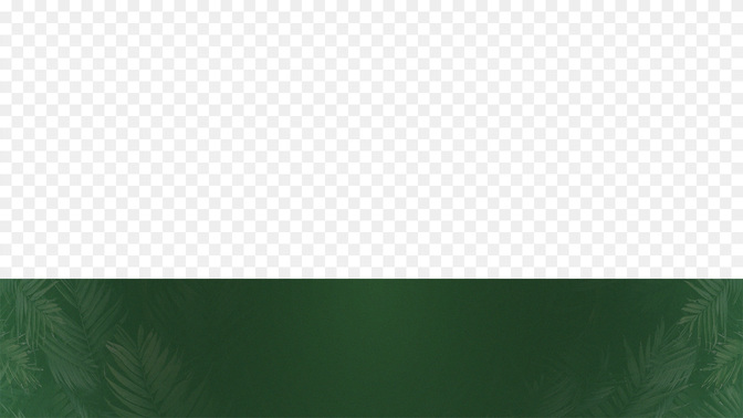 Palm_Sunday-WIDE#preset=tg_transparent_png_preview.jpg