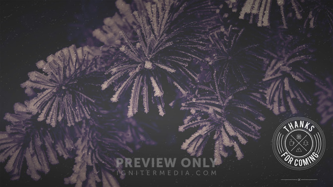 Winter_Woods_-_Thanks_For_Coming_16x9-CONTENT-2#preset=tg_alt2.jpg