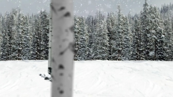 Snowy Forest.jpg
