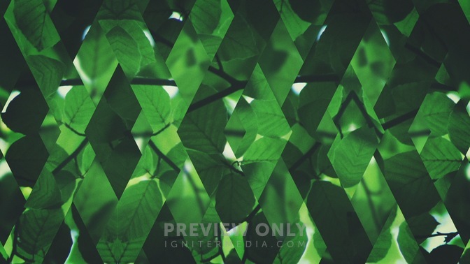Spring_Shift_Green_Full_HD.jpg
