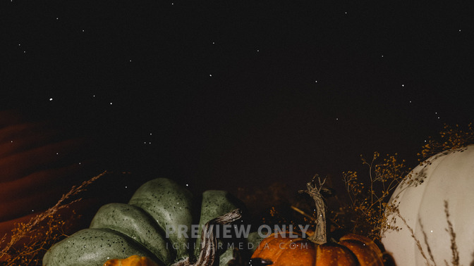 Fall_01_HD.jpg