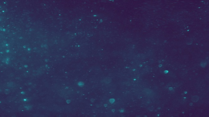 new year sparkle - haze