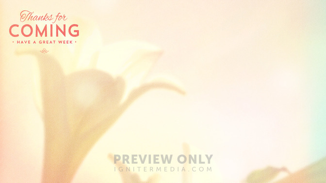 Lilies_-_Thanks_For_Coming_16x9-CONTENT-1#preset=tg_alt1.jpg