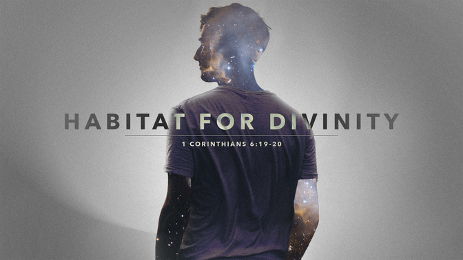 habitat for divinity