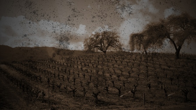 tree texture 3