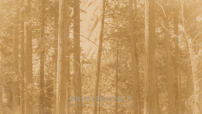 Golden_Harvest_-_Upcoming_Events_16x9-BACKGROUND#preset=tg_bg.jpg