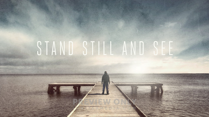 Stand_Still_and_See_16x9-TITLE-2#preset=tg_title2.jpg