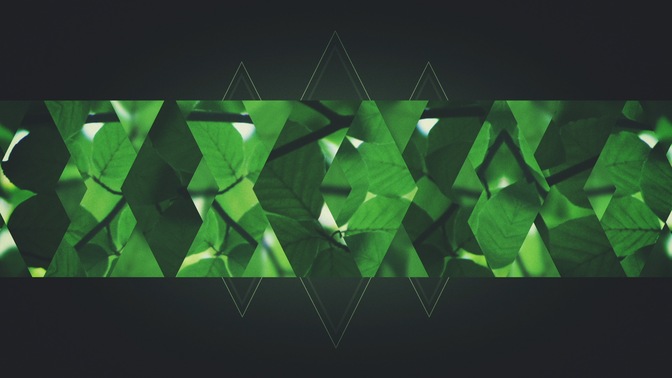 spring shift - green bar