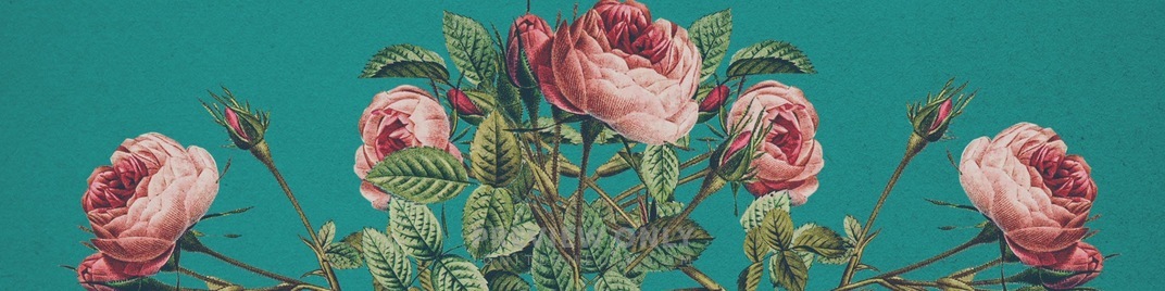 Mothers_Day_Flowers_1_UW_SD.jpg