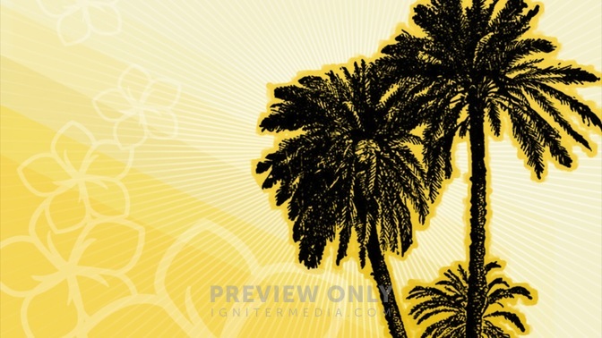 Palm_Tree_Yellow_1_16x9.jpg