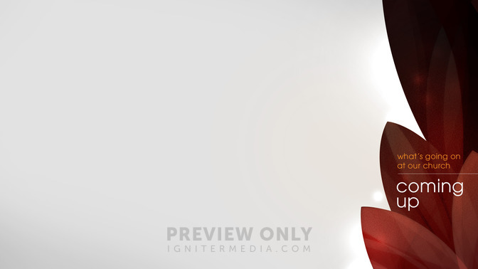 Elegant_Leaves_-_Coming_Up_16x9-CONTENT-1#preset=tg_alt1.jpg