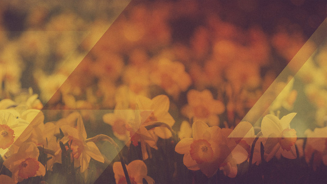 Morning_Flowers_-_Welcome_16x9-CONTENT-3#preset=tg_alt3.jpg