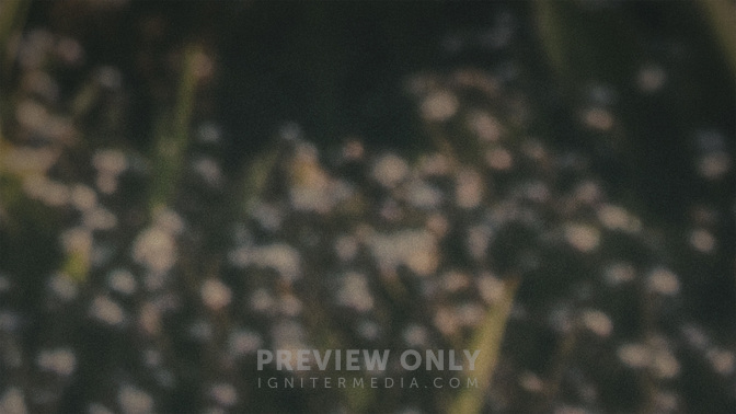 Day_Of_Service_WIDE-BACKGROUND#preset=tg_bg.jpg