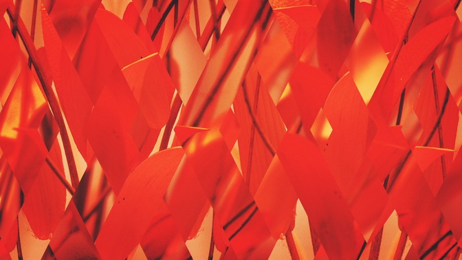 Spring_Shift_Red_Full_HD.jpg