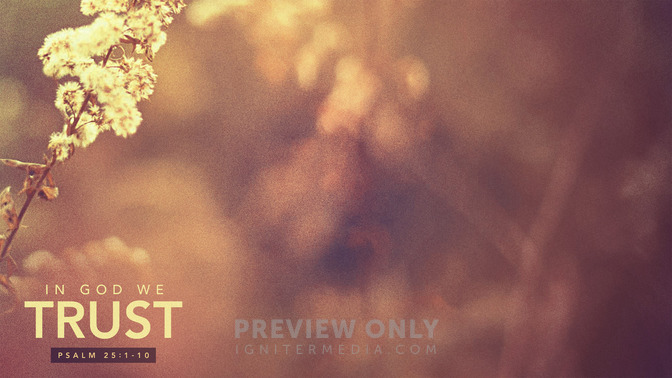 In_God_We_Trust_16x9-CONTENT-1#preset=tg_alt1.jpg