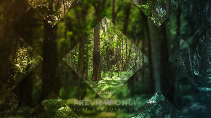 Forest_Diamonds_720p_Preview.jpg