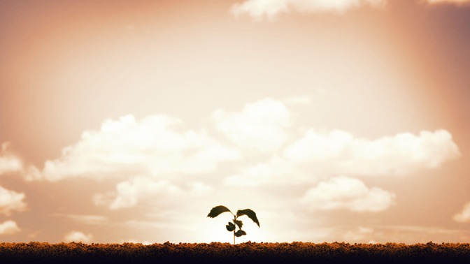 Alive_in_the_Spirit_16x9-BACKGROUND#preset=tg_bg.jpg