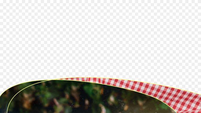 Sun_Wave_L3_TH_ChurchPicnic_WIDE#preset=tg_transparent_png_preview.jpg